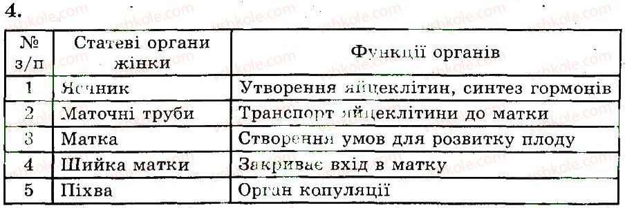 фото задание 4 - будова статевих органів