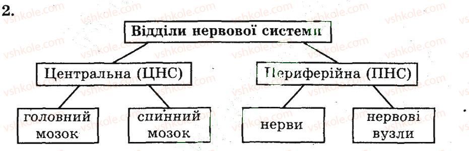 фото задание 2 - нервова регуляція функцій організму людини