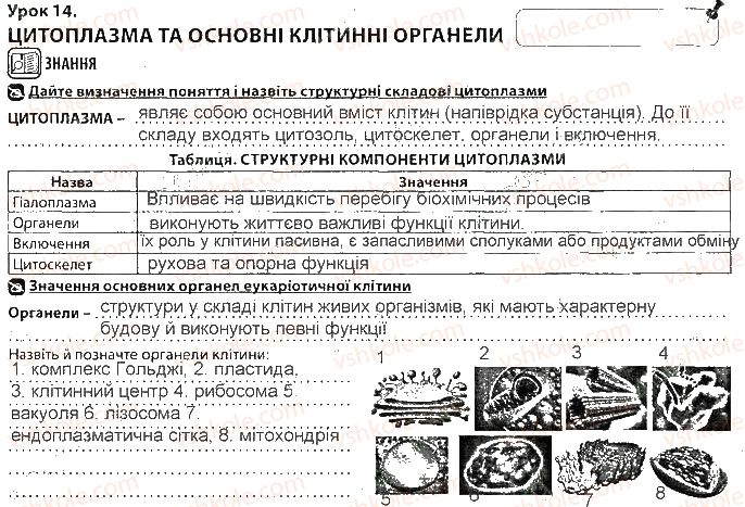 фото задание ст21 - тема 2. структура клітин