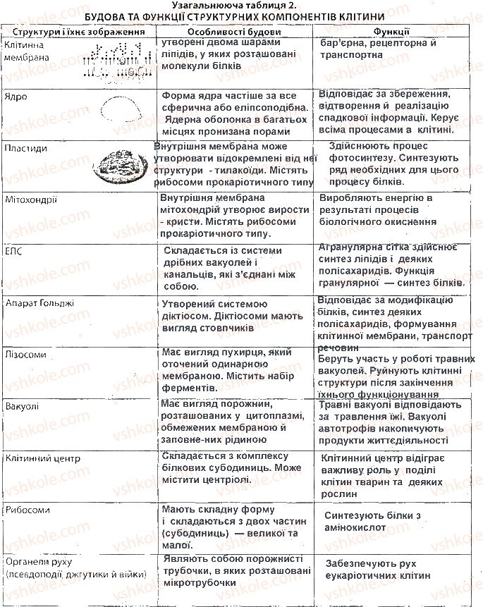 фото задание ст25 - тема 2. структура клітин
