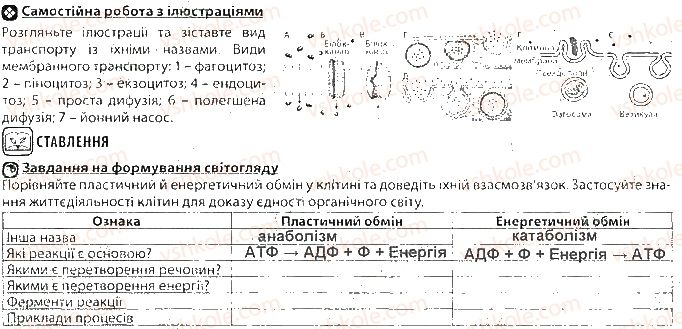 фото задание ст26 - тема 3. принципи функціонування клітин