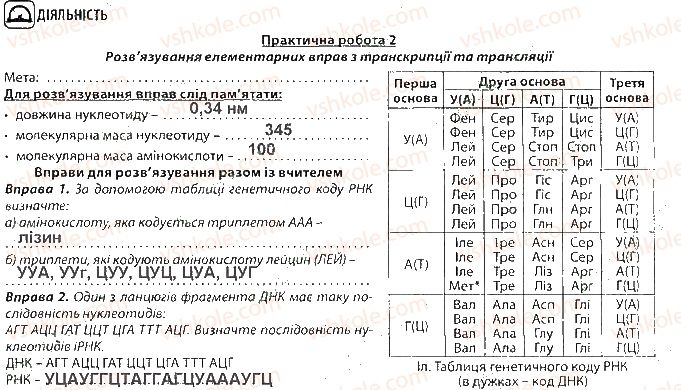 фото задание ст36 - тема 4. збереження та реалізація спадкової інформації
