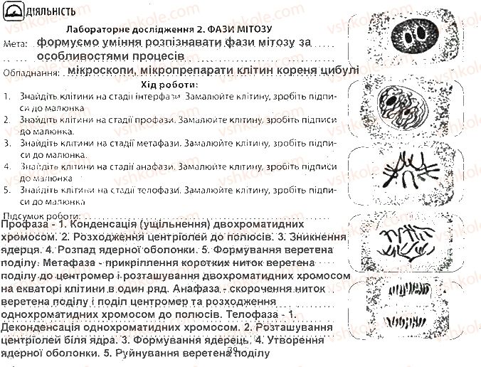 фото задание ст39 - тема 4. збереження та реалізація спадкової інформації